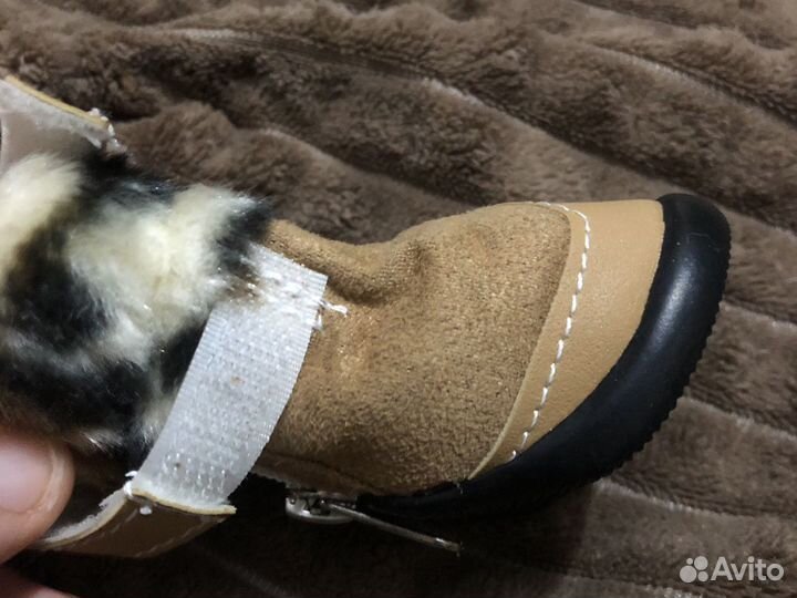 Ботинки для собак