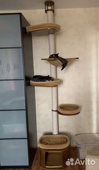 Когтеточка с упором в потолок