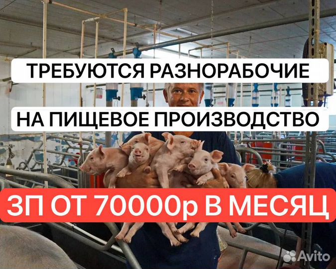 Разнорабочий на пищевое производство вахта