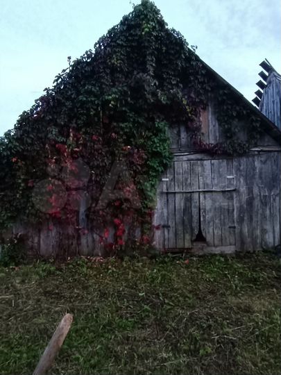 Дом 55,8 м² на участке 65,5 сот.