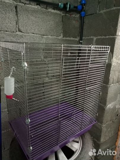 Большая клетка для крыс