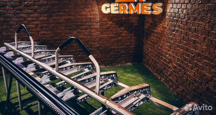 Листогиб Germеs