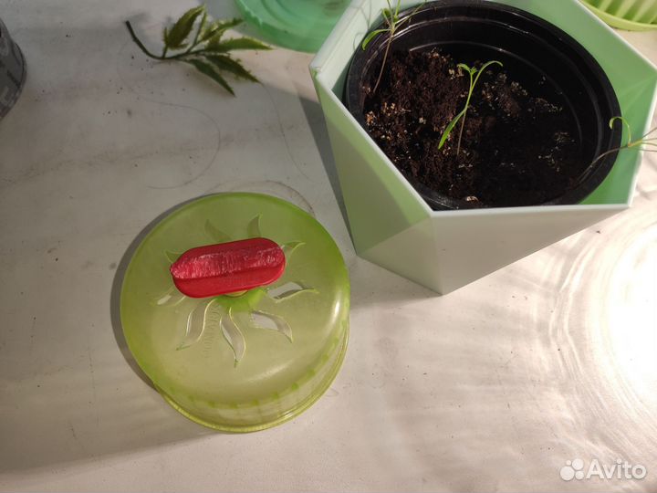 Домик колесо для хомяка