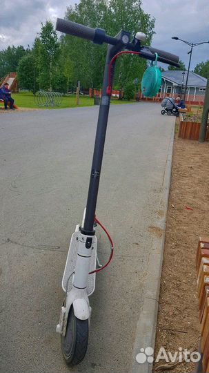 Ксяоми миджия 365 м