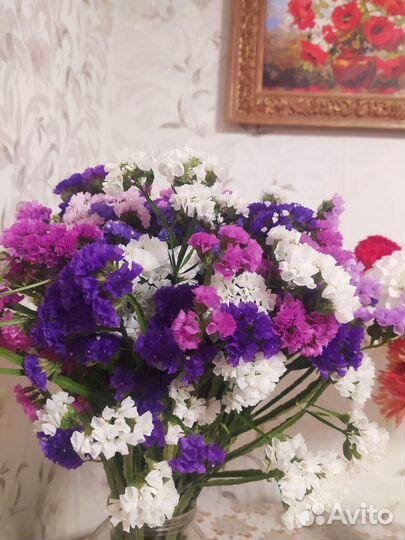 Сухоцветы для творчества