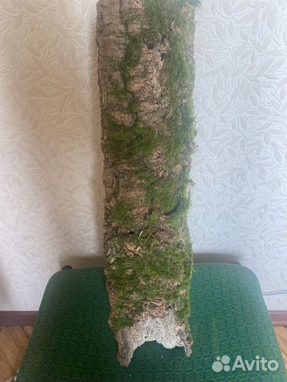 Кора пробкового дуба для террариума