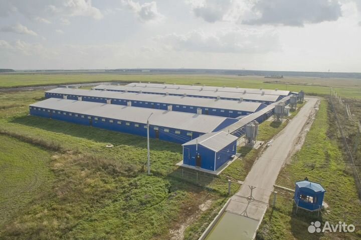 Помощники мастера на Агрокомплекс М/Ж