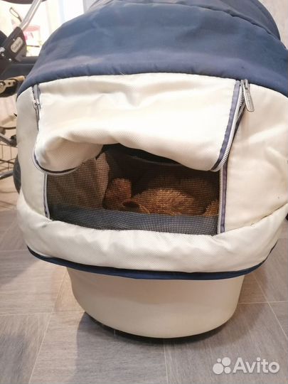 Детская Коляска эммальюнга 2 в 1 с 0 месяцев