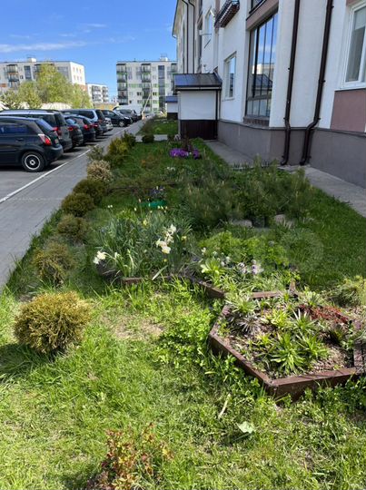 1-к. квартира, 42,8 м², 1/5 эт.