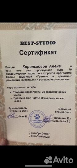 Стрижка собак. Груминг