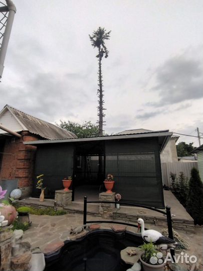 Обрезка деревьев