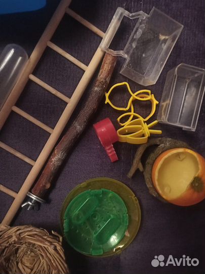 Аксессуары для животных