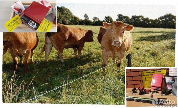 Электропастух