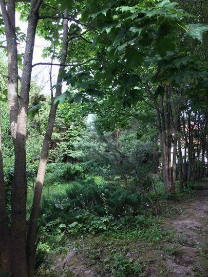 Дом 250 м² на участке 20 сот.