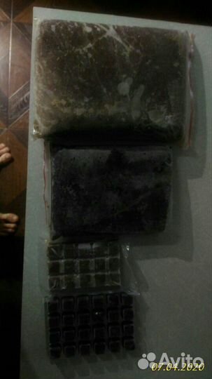 Корма замороженные для аквариумных рыбок