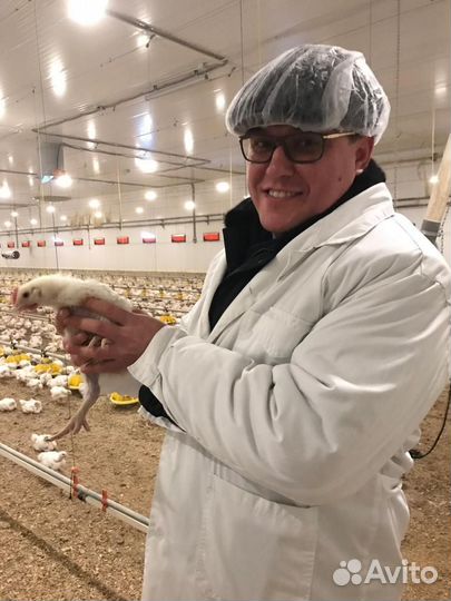 Оператор птицефабрики
