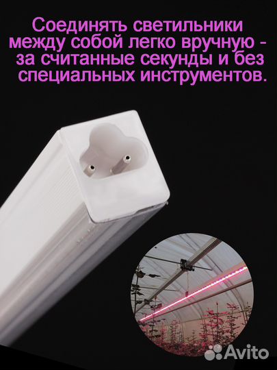 Фитолампа для растений