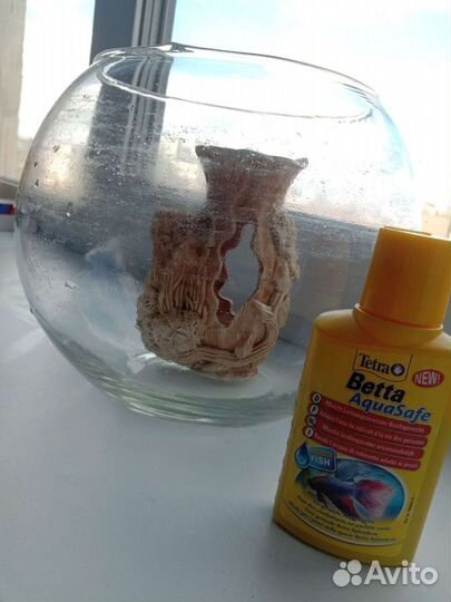 Аквариум для рыб