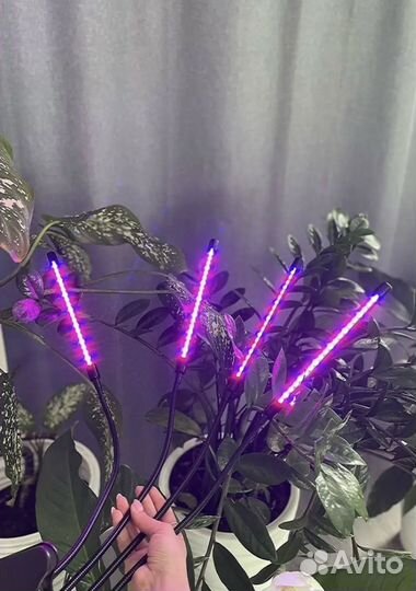 Фитолампа для растений