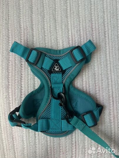 Шлейка, поводок для маленьких кошек и собак