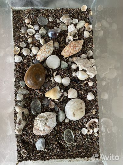 Аквариум 30 литров