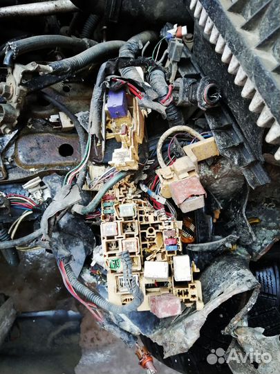 Автоэлектрик