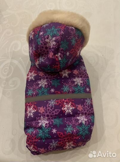 Одежда для животных