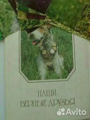 Наши верные друзья