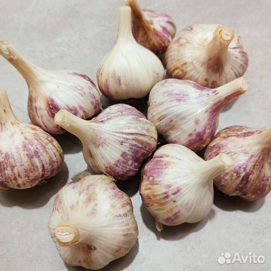 Консервация домашняя