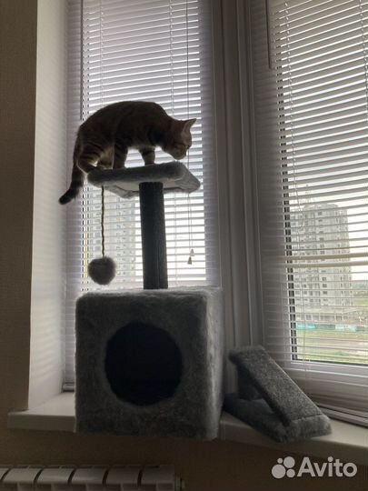 Домик для кошки