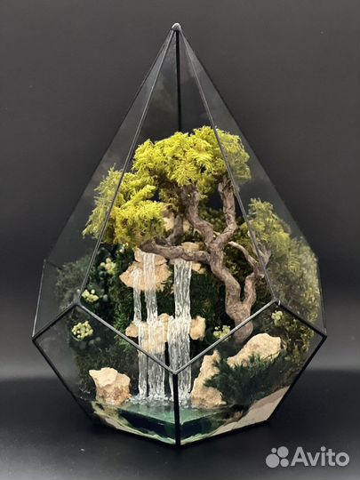 Флорариум(моссариум)