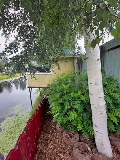 Дача 60 м² на участке 10 сот.