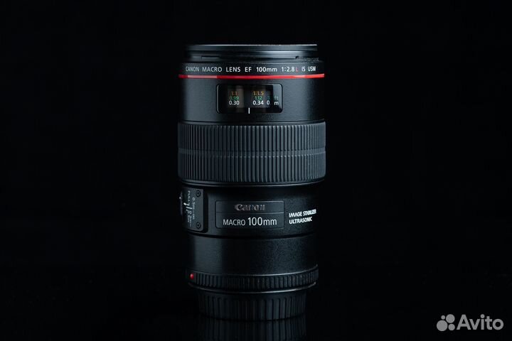 Объектив Canon EF 100mm f/2.8L Macro IS USM