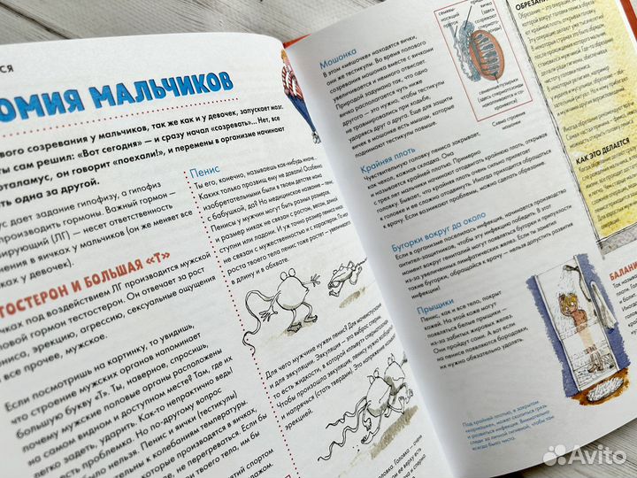 Мое тело меняется