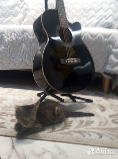 Электро акустическая гитара