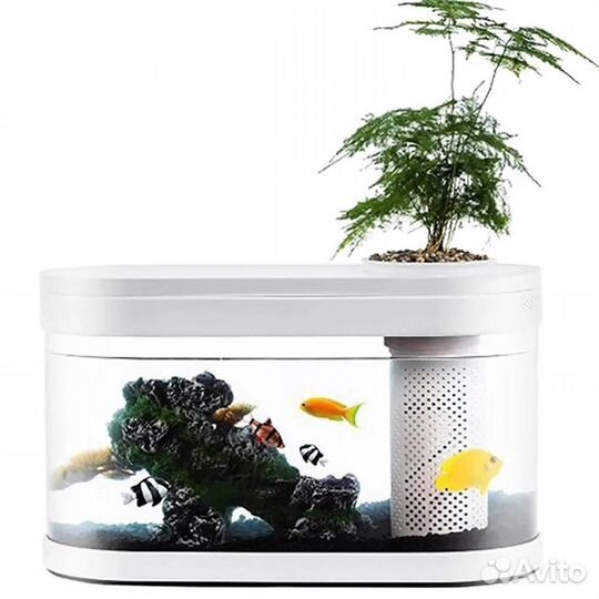 Аквариум Xiaomi Descriptive Geometry C180