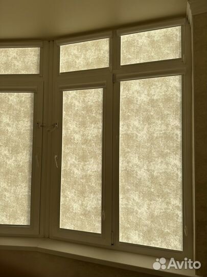 День и ночь Зебра