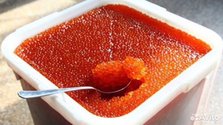 Красная Икра Кеты
