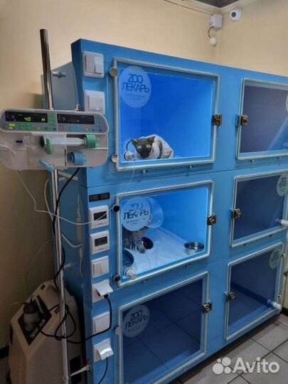 Боксы в стационар для животных ветклиники