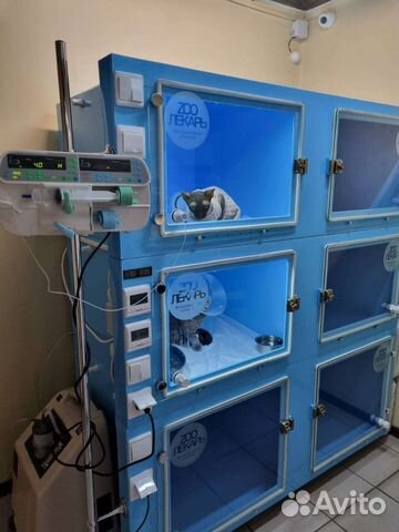 Боксы в стационар для животных ветклиники