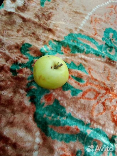 Покрывало плюш СССР, скатерть,коврик ГДР