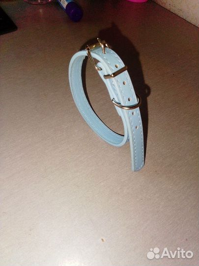 Ошейник для собак