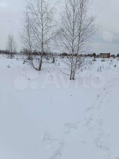 Участок 19,9 сот. (СНТ, ДНП)