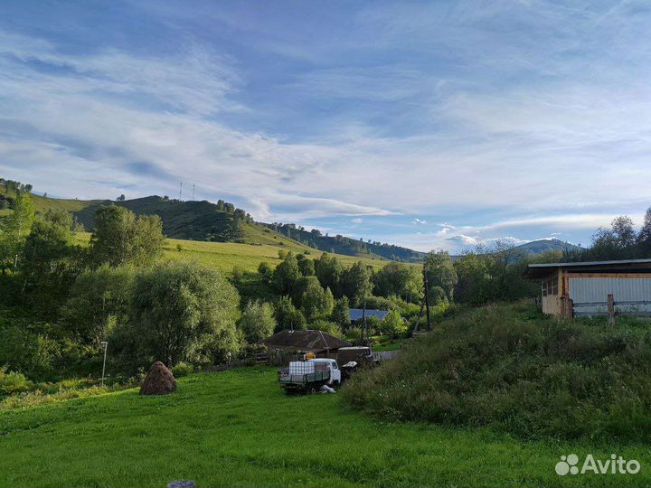 Фермерское хозяйство с поголовьем