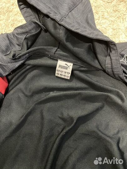 Puma с лампасами