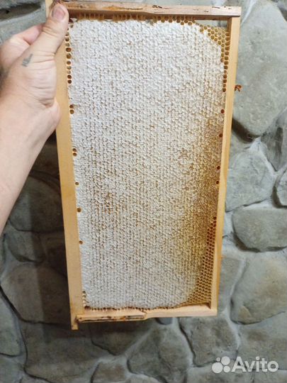 Мед белая акация оптом