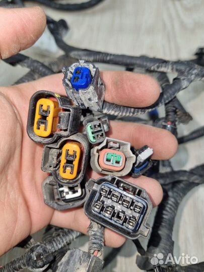 Проводка подкапотная Kia Rio