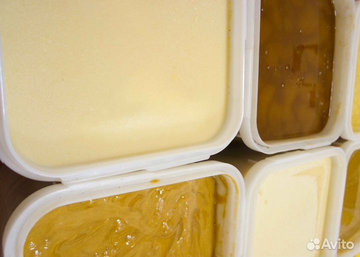 2024 Мед натуральный из Алтая опт