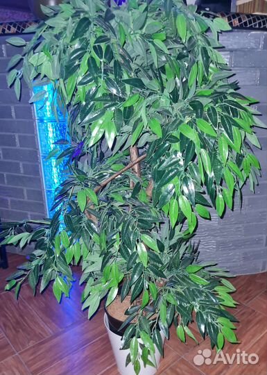 Искусственные растения