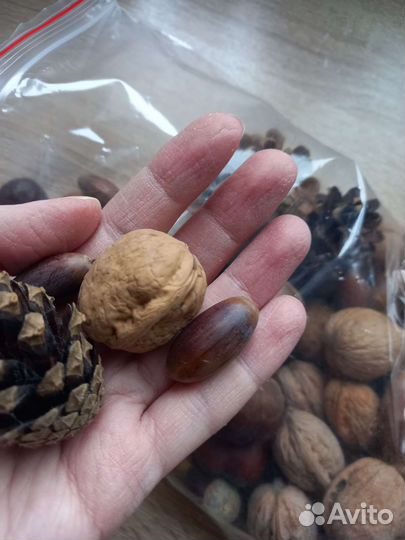 Природный материал для сенсорной коробки